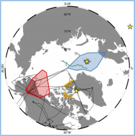 Example Image 1